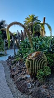 2024-01-GranCan-Jardin_de_la_Marquesa-074.jpg